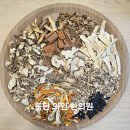 동양허브한의원