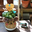 칠암초등학교병설유치원 이미지