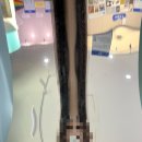 경기도 수원시 장안구 정조로1110번길 이미지