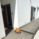 횡성호수펜션 네이버블로그