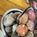 만선민박2 이미지