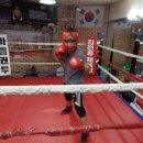 쌍룡복싱체육관 이미지