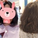 캣츠살롱 이미지