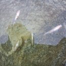 (주)촌장 이미지