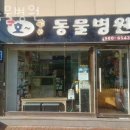 호 동물병원 | 강북구 미아동 동물병원 호동물병원 진료시간 접근성 이용후기