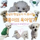 마이펫 | 2025년 여름이의 송도 마이펫페어 솔직후기