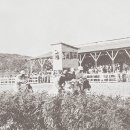 새싹공원(박물관공원 옆) 이미지