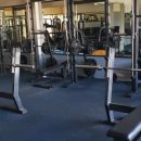 PITBULL GYM 이미지