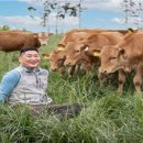 다움농장 이미지