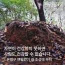 [브리핑] 24/10/25 자연이 건강하지 못하면 사람도 건강할 수 없습니다. - 은평구 맨발걷기 길 조성에 부쳐 이미지