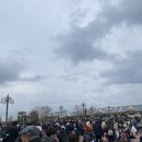 주식회사 몬스터하우스 | 대망의 도쿄 디즈니랜드 월요일 후기