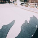 현진목장 이미지