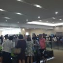 선화 이미지