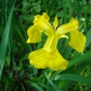 월평동산성 이미지