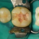 혁신척척의원 이미지