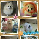 하늘바람 메디칼 이미지