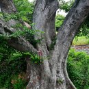 두모해변 이미지