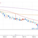 (주)더블유에스아이 이미지