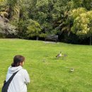 남대문쇼핑 이미지