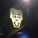 인어공주 | 대구실내관광지 대구 아쿠아리움 위시캣 인어공주쇼 후기