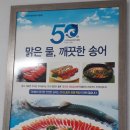 제천 송어 횟집 운학송어장 횟집에서 신선한 송어비빔회먹고왔어요^^