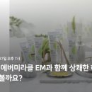 이엠미라클 네이버블로그