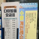 남부대국제수영장수영복