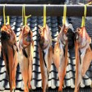 왕노가리호프 이미지