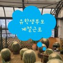 울산과학기술원 일반대학원 이미지