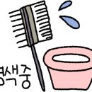 보라보라미용실