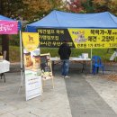 댕댕아 놀자 이미지