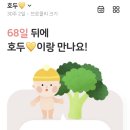 돌즈