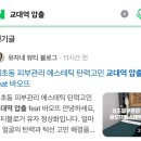 서초대로 271 이미지