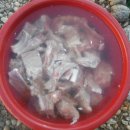 뼈다귀해장국감자탕 이미지