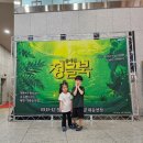 가족뮤지컬 정글북 | 가족뮤지컬 정글북 관람후기｜미취학은 “우와!” 고학년은 “흠…” 반응 갈린 이유