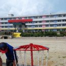 금촌초등학교 이미지