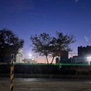길항작용