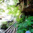 금원산자연휴양림 이미지