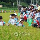 방동하리 이미지