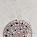 여주-0155 이미지