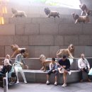 오차드식당 이미지