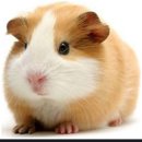 김성배축산 이미지