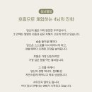 호흡으로 체험하는 4뇌의 진화 이미지