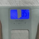 내돈내산 l 자연원 오클렌즈 3일 디톡스 후기