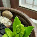 현대상가 이미지