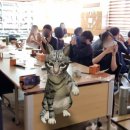 경천중학교 | [충청/강원/융합진로교육] 진로체험버스 경천중학교 &#39;가상현실/증강현실 크리에이터 되어보기&#39; 진로...