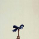 요요요 Daum카페