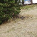 하원동 탐라왕자묘 이미지