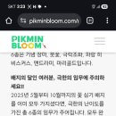 데이블룸