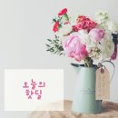 네이처컬렉션 태안점 | 최저가로 사는 핫딜 정보(4,18)